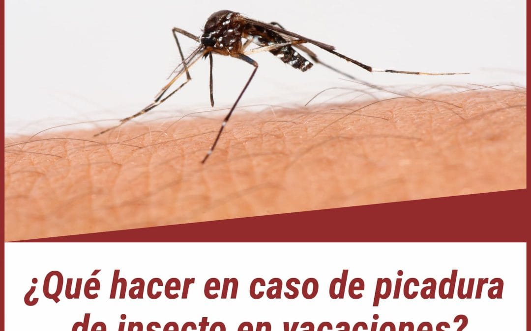 No permita que una picadura de insecto arruine su salud en sus próximas vacaciones o viaje de negocios