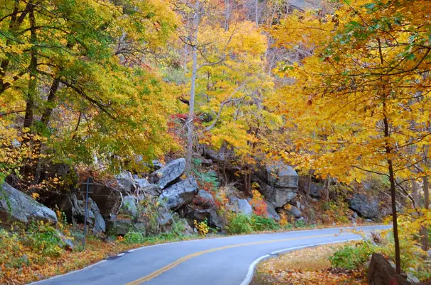 viajar en otoño