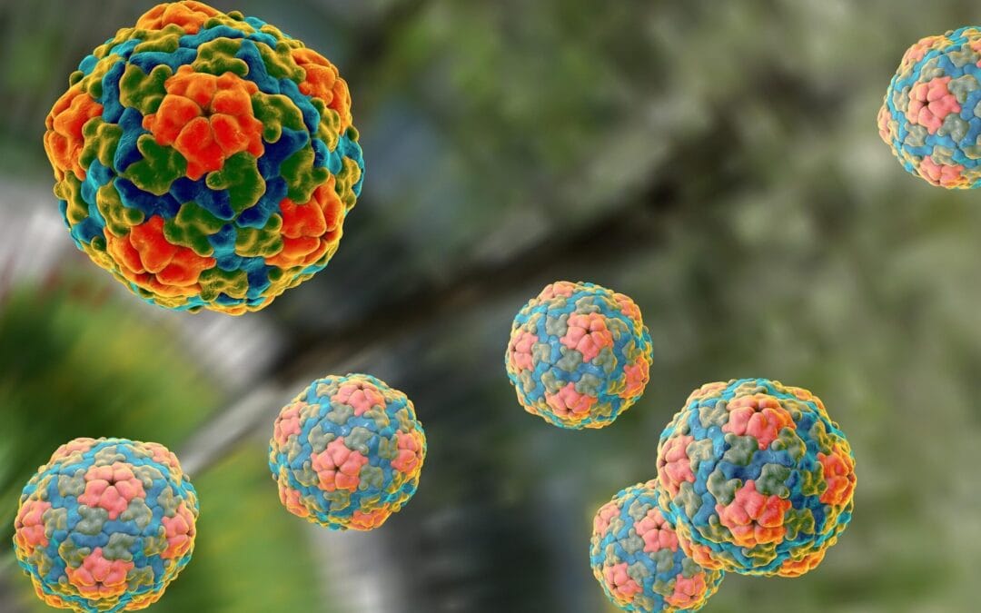 La enfermedad del viajero más común que se puede prevenir con vacunas: la hepatitis A