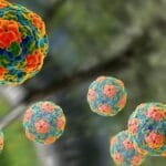 hepatitis A