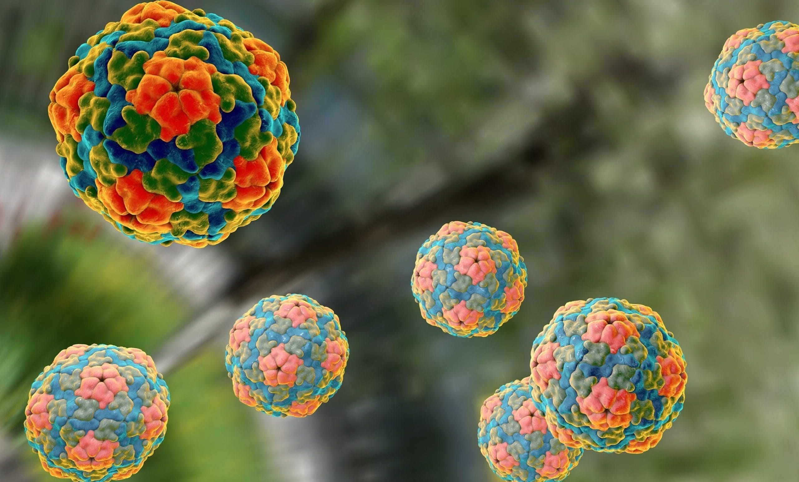 hepatitis A